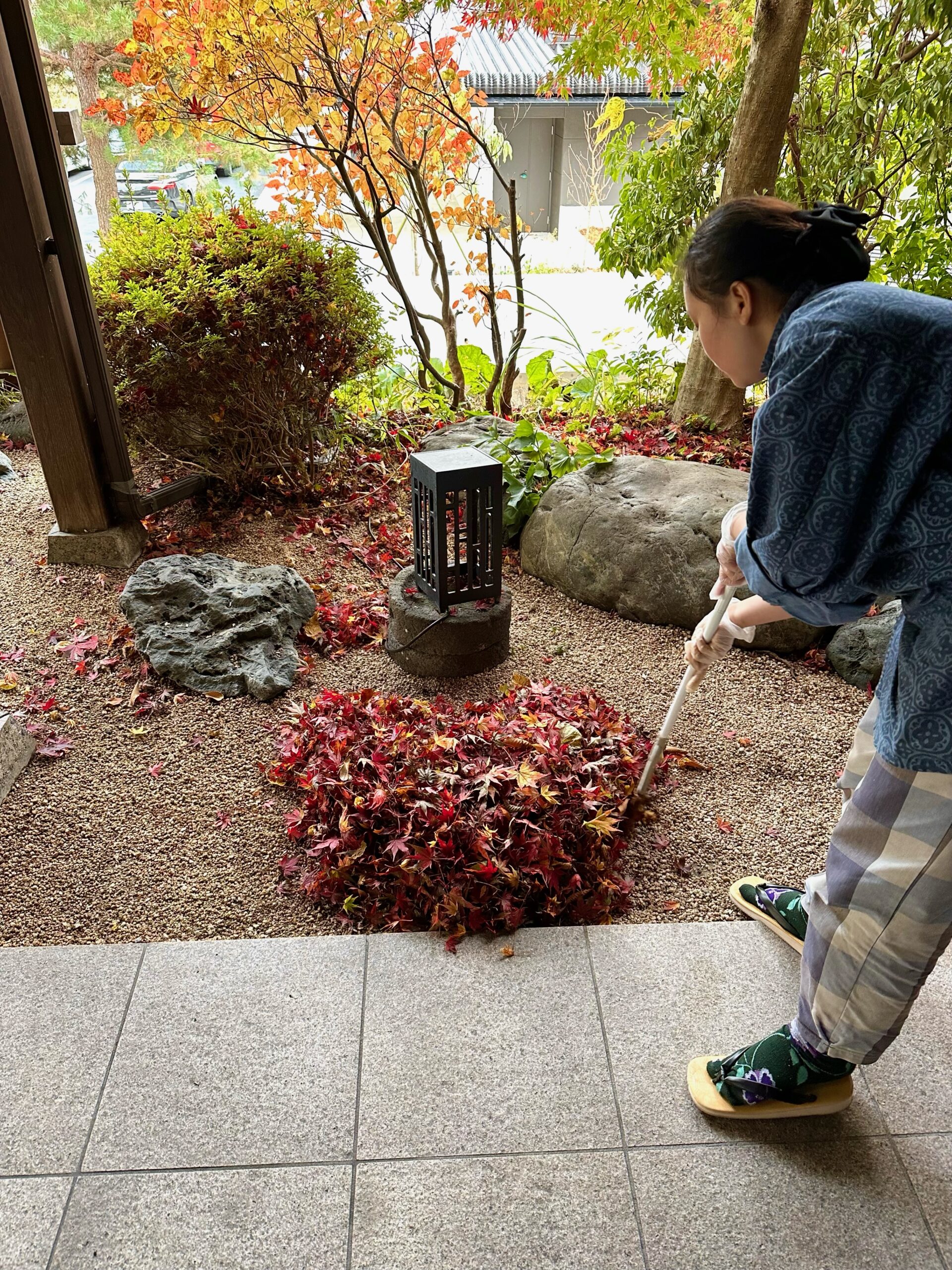 紅葉が見頃を迎えております